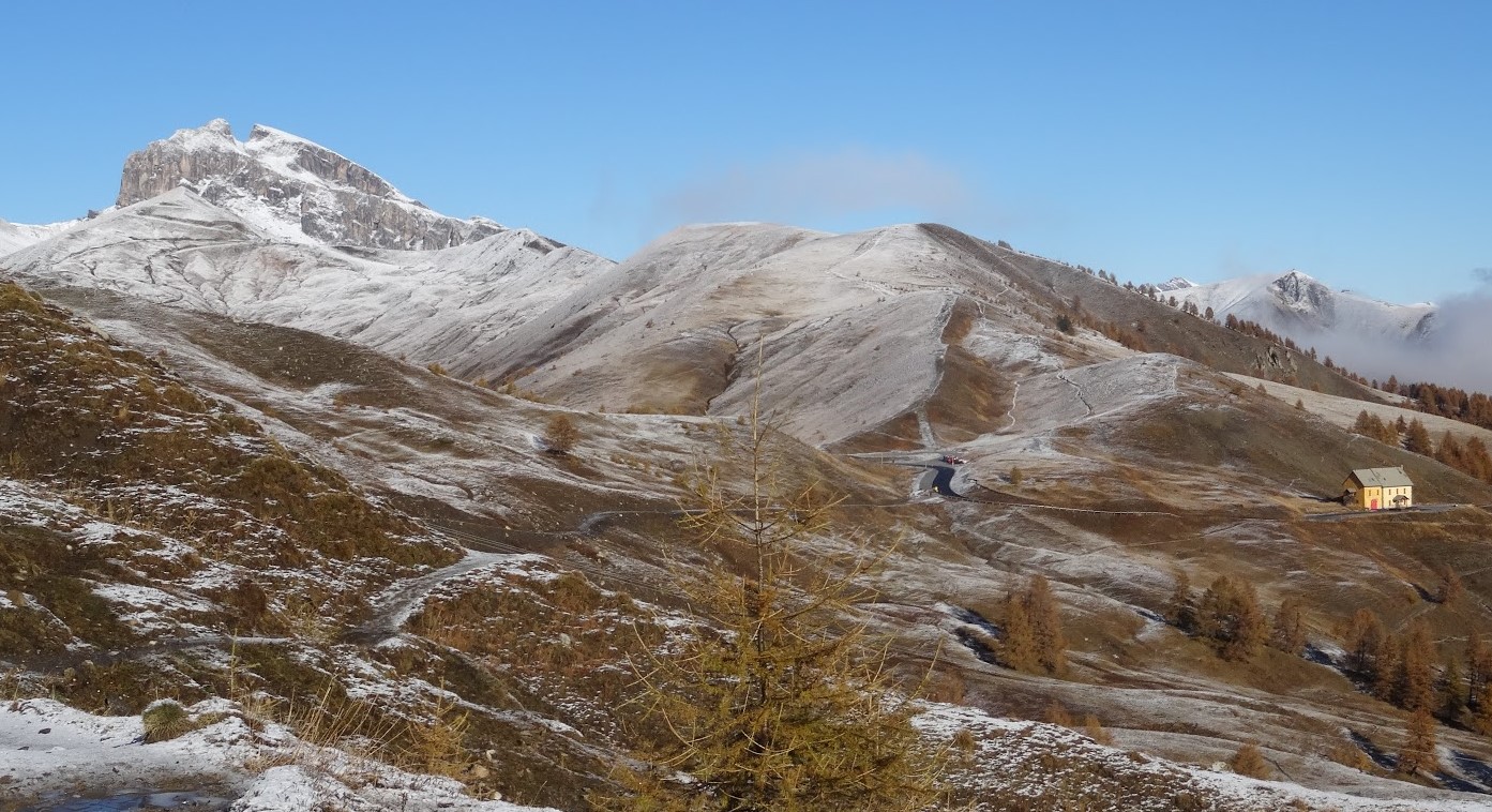 allos
